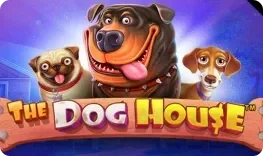 The Dog House nyerőgép a Vipsta Casino lobbijában